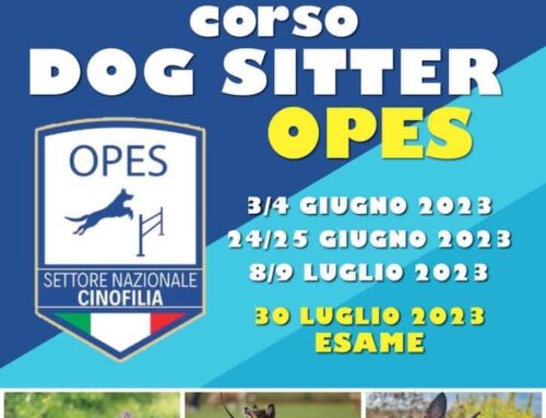 Nasce il primo Corso DOG SITTER OPES CINOFILIA
