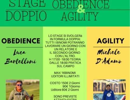 Agility dog ed Obedience, quando gli opposti si attraggono!